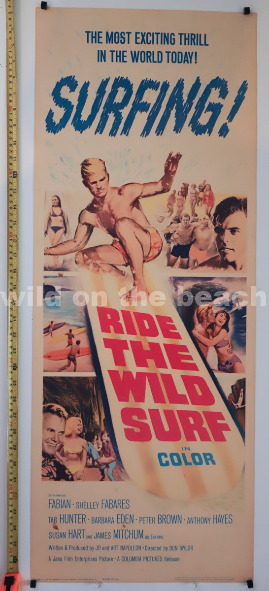 Ride the Wild Surf. – Wild on the Beach